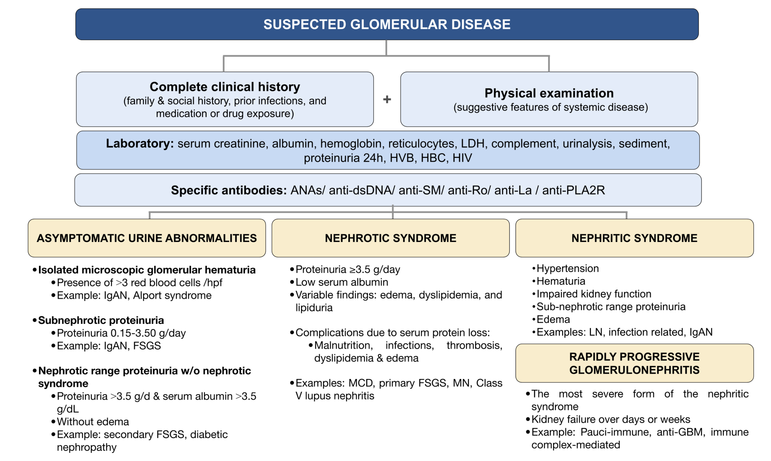 Originele figuur. Voorgestelde diagnostische aanpak bij suspected glomerular disease met kliniek, lichamelijk onderzoek, lab en syndroomindeling.